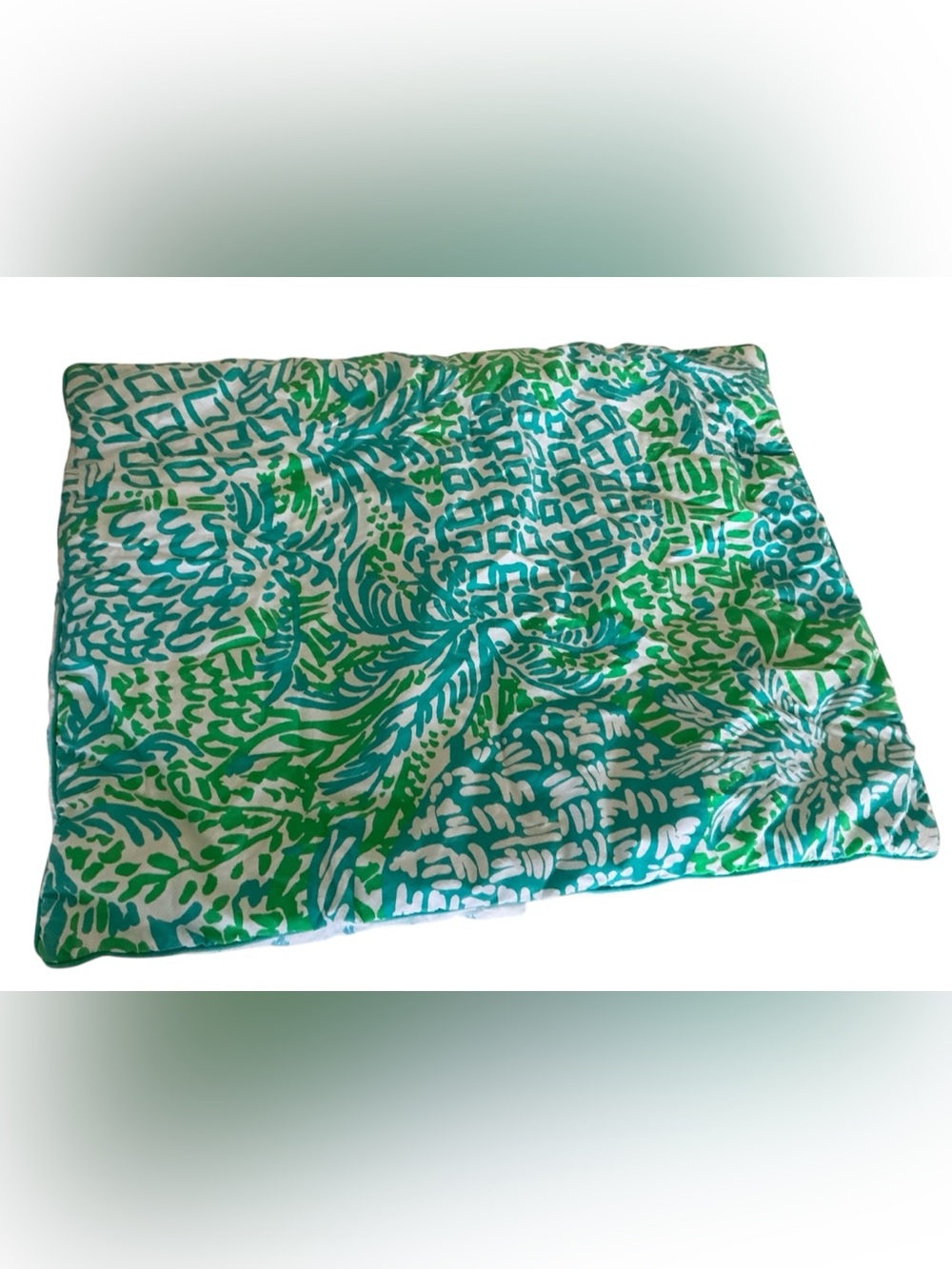 Lilly Pulitzer Exclusive Pottery Barn Teen Pillow Case